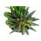Monarch Specialties Artificial Plant 7" Tall Succulent, Indoor, Faux, Fake, Table, Greenery, Potted Set Of 2, Decorative I 9588 - alternate 3